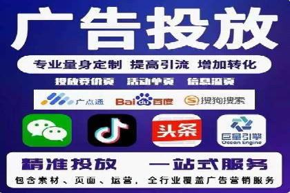 谷歌SEM与移动端优化：某APP的推广策略及效果